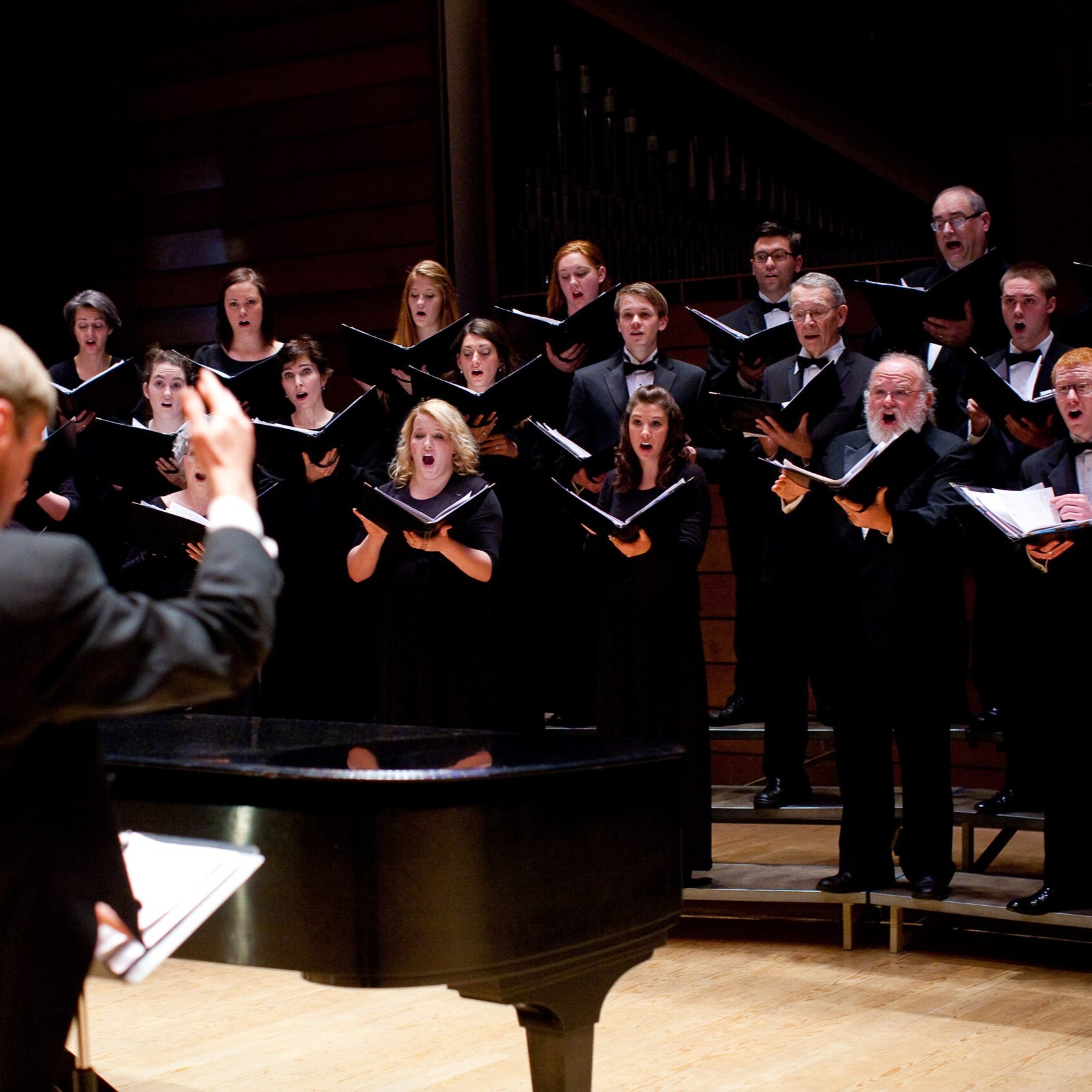 2 Image of the conductor.